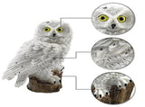2 Pack Owl Solar Lights Outdoor Garden Resin Waterproof Garden Decorations with Stake for V1369-AZ3-W-22068