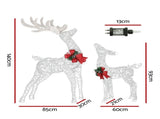 Jingle Jollys Christmas Lights 2pcs Reindeer Set Fairy Light 170 LED Decorations XMAS-MOT-2DEER-WARM