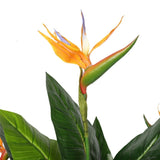 Artificial Potted 150cm Bird of Paradise Plant V77-1159633