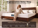 Giselle 25cm Queen Hybrid Mattress Soft Knitted Fabric Edge Support Gel Foam MATTRESS-B-HAVEN-25-Q