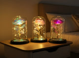 Blue & Silver Butterfly Lantern - Enchanted LED Decorative Light V1192-D1