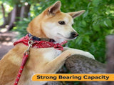 50 Pcs Swivel Snap Hooks, Heavy Duty 2.7 Inch Metal Clips for Dog Leash, Flagpoles, Hammocks V1192-AZ-W-20908