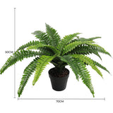 Artificial Potted Natural Green Boston Fern V637-DP1159628