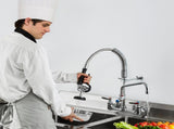 Commercial Faucet with Pre-Rinse Sprayer, 21" Height, 8" Center, 12" Swing Spout, Wall Mount Kitchen V952-BGSYCXSLTBGS9X3ACV0