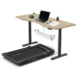 LSG Pacer M5 with Dual Motor Automatic Standing Desk 180cm in Oak/Black and Cable Management V420-LGTM-PACERM5-D