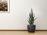 SOGA 2X 95cm Sansevieria Snake Artificial Plants with Black Plastic Planter Greenery, Home Office APLANTFH9510X2