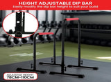 Powertrain Height-Adjustable Dip Bars Pair Load Capacity 200kg Separated Type DIP-RCK-IPR-006
