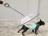 Transparent Dog Umbrella with Leash, Windproof Pet Umbrella with C-Shaped Handle, Adjustable Angle, V1237-ZY-924-350