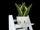 5 Tier Wooden Ladder Shelf Stand Storage Book Shelves Shelving Display Rack V63-824201