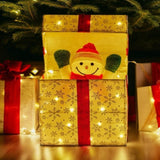 Christabelle Animated Snowman in a Gift Box LED Christmas Tree Decoration Ornament Lights Xmas 112_SHE102