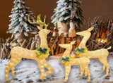 3 Pcs Christmas Lights Reindeer Decoration Outdoor Deer Family with Warm White Led Lights Garden V1369-AZ3-W-11937