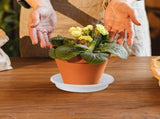 Plastic Flower Pot Drip Trays, Simple Design, 12-Pack Drip Tray for Indoor and Outdoor Plants V1366-AZ2-W-13696