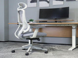 Lifespan Fitness DM8 Ergonomic Office Desk Chair V572-LFOC-DM8G