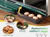 i.Pet Chicken Nesting Box Roll Away Metal Nesting Box Wall Mounted 6 Holes Green PET-CHICK-BOX-6H-GN