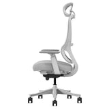 Lifespan Fitness DM8 Ergonomic Office Desk Chair V572-LFOC-DM8G