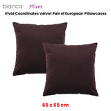 Bianca Pair of Vivid Coordinates Velvet European Pillowcases Plum 65 x 65cm V442-BCA-PILLOWC-VIVIDCOORD-PLUM-EU