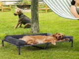 P&P Pet Cot with Bolster Support and Breathable Mesh Design for Dogs to Lounge V767-P-XD128-GY-XLG1