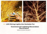 HighDensity LED Star String Lights Plugin Version, Dense Lamp Beads For Rich Visual Glow, Holiday V1221-XM-LB8332-GM243