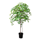 Potted Artificial Enkanthus Shrub 193cm V637-84521ENK