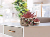 Concrete Flowerpot Rabbit Shape Multi Cement 1 Pcs V1366-AZ2-W-22012
