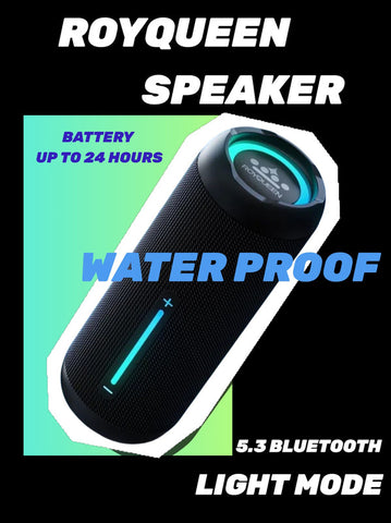 ROYQUEEN Bluetooth Speaker with LED Light,Portable bluetooth speaker with IPX7 Waterproof, Bluetooth V541-SPK-WP-M-BK