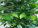 Mixed Green Bushy Artificial Ficus Tree 180cm V637-DP1020532KD