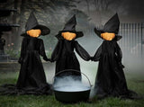 3 Pack Light Up Halloween Witches Decorations Holding Hands with Glowing Faces and Stakes for Yard V1237-ZY00B0CVTHWV57