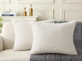 18" x 18" Decorative Throw Pillow with Inserts, Set of 2 Soft Textured Boucle Throw Pillows, Square V1258-DP02-C-3206