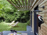 17 Inch Realistic Woodpecker Deterrent - Lifelike Woodpecker Decoy with Iron Wire - Garden & Yard V1366-AZ2-W-16425