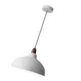Modern Pendant Light Fixture Iron Japanese Style Hanging Ceiling Lamp for Kitchen Island Dining Room V1294-YM0901-3119240066613