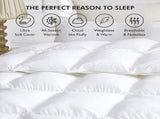 Goose Feather Down Quilt 500 GSM Duvet Doonas King240x210cm V201-W12782670