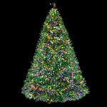 Jingle Jollys Christmas Tree 2.4M Xmas Tree Decoration 8 Light Mode Multi Colour XM-TR-FULL-8FT-MC