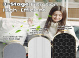 Vital 100 Replacement Filter for LEVOIT Air Purifier, 3-in-1 Pre, H13 High-Efficiency Activated V1258-DP02-WO-649