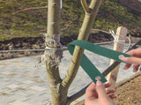 Tree Anchor Kit with Tree Support Clamps and Protective Wraps for Enhanced Gardening and Plant V1192-AZ-W-22309
