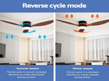 Devanti 52'' Ceiling Fan DC Motor w/Light w/Remote - Dark Wood CF-B-52-42Y-DW