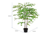 Potted Artificial Enkanthus Shrub 193cm V637-84521ENK