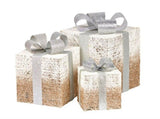 Christabelle 3 Piece Christmas Present Display Set with Lights - Champagne Finish 112_MHA403