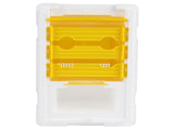 Queen Bee Mating Box Foam Breeding Rearing Copulation Accessory Beekeeping Equipment V1294-YM0901-3111200232111