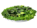 Artificial Green Wall Disc Art 150cm Dense Green Sensation V637-DP1013972W