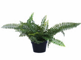 UV Treated 20cm Small Potted Plants Bundle V637-DP1190646