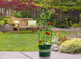 Gardening Climbing Vine Plant Climbing Vine Trellis for Climbing Plants V1294-YM0512-221116YA01-4