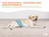 Rooster Farms Male Dog Diapers Large 3Pk - Washable Reusable Nappies Hook/Loop V238-SUPDZ-41365725446224