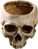 Halloween Skull Flower Pot Planter, Retro Human Skull Head Shape Succulent Container Box for Home V1237-ZY00B07K9M87RM