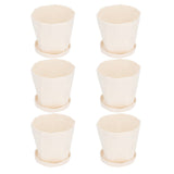 6Pcs Small Plant Pot Lightweight Versatile Simple Style Plastic Flower Pot with Trays for Indoor V1294-YM0901-3111240201811