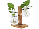 Innovative Hydroponic Vase with Wooden Stand Transparent Desktop Flower Vase for Home V1294-YM0714-3111210271911
