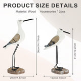 2Pcs Wooden Seagull Figurine, Wide and Weighted Base, Suitable for Desk Decor, Coastal Bird Table V1369-AZ3-W-12335
