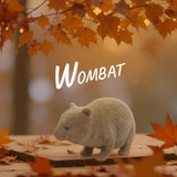 Stretchy Squishy Australian Wildlife Gift Set - Sensory Stimulation Animal Toys V274-TOY-KN-F-SQAUWAN-B