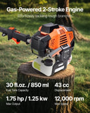 Gas Pole Saw, 33CC 2 Stroke Gas Powered Pole Saws 20.3 cm Cutting Bar, Cordless Tree Trimmer V952-ECCYJCS10INCBO9MA002V0