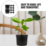 15pcs Plastic Net Pot Cup Baskets Black for Balcony Hydroponics V1192-AZ-W-22385