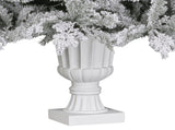 Christabelle 2.3m Christmas Tree Potted Alpine Fir with Pre Lit Multi-Colour LED Lights 112_HZPA75